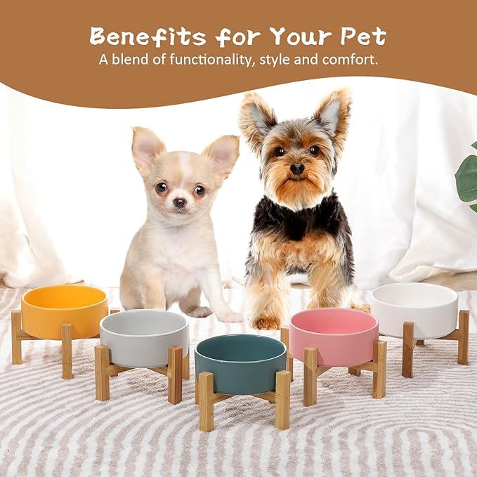 Elevated Ceramic Cat Bowl - Cat Food Bowl with Bamboo Stand - Raised Dog Dish for Puppies - Anti Vomiting, Stress Free - 13.5 oz / 400 ml - Yellow