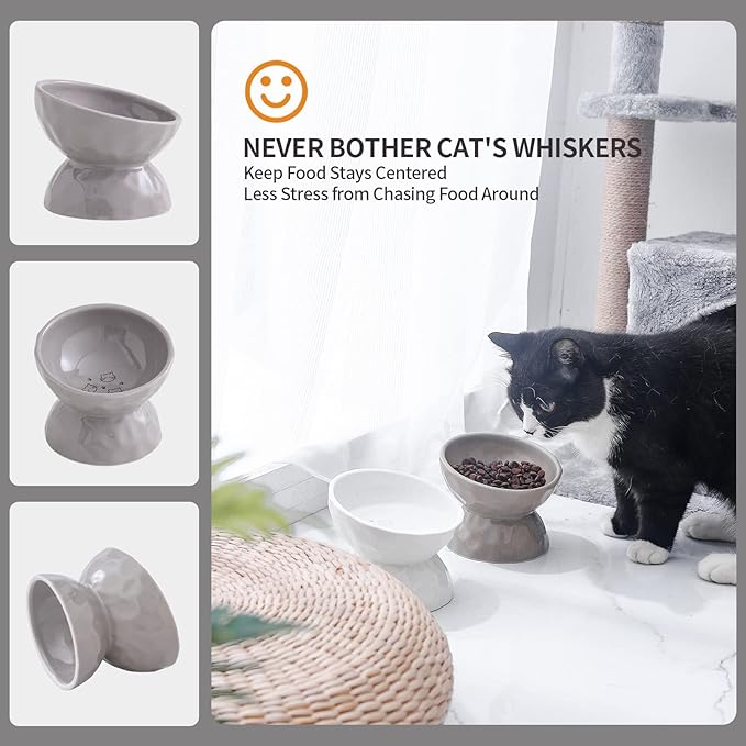 AOMRYOM Raised Cat Food Bowl, Ceramic Elevated Tilted Cat Bowls for Food and Water, Pet Bowl Dish Set for Cats and Small Dogs, Protect Cat's Spine, White & Grey, Set of 2