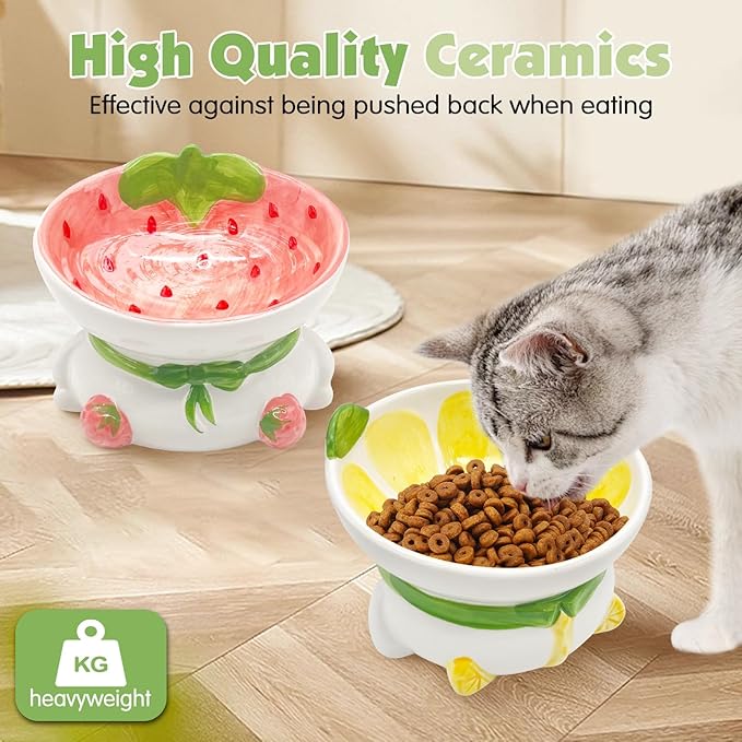 Kathson Ceramic Elevated Cat Bowl, 15 Tilted with Stand - Lemon Shaped, Anti Vomiting, Small Cat Bowl