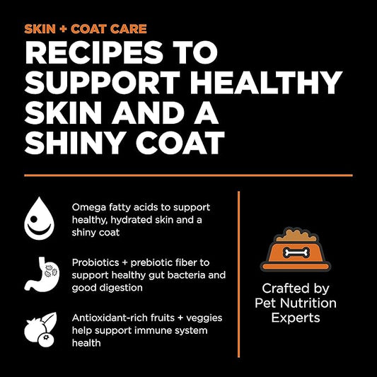Go! Solutions Skin + Coat Care, Grain-Free Dry Cat Food, Salmon Recipe, 3 lb Bag
