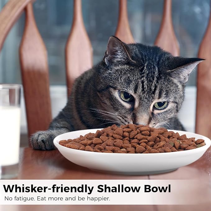 10 Pcs Wide & Shallow Cat Plates for Whisker Fatigue Relief, 15cm/6'' Ceramic Feeding Dishes With Cute Fish Bone Design, Wet & Dry Food Bowls for Kittens, Cats, Puppies