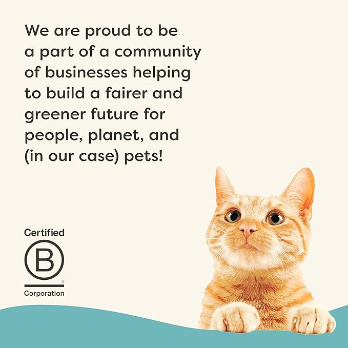 Applaws Vitality Wet Cat Food Paté, Natural Canned Cat Food, Wet Food for Cats with Added Vitamins and Minerals, Grain Free, Carrageenan Free, Tuna Fillet and Mackerel Recipe (24 Count, 2.47 oz Cans)