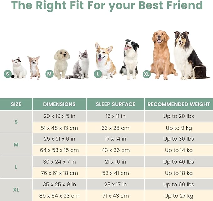 Miguel Faux Linen Dog Bed with Removable Cushion Pillow for Medium Small Dogs, Washable Pet Bed with Side Easy to Wash Puppy Bed, Rectangle Cat Bed for Indoor Cat with Anti-Slip Bottom, Green 25 Inch