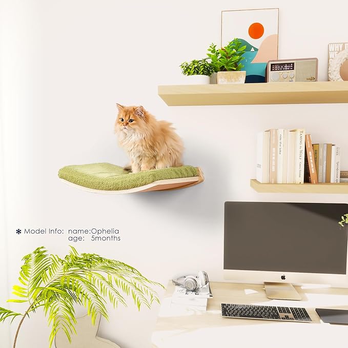 Curved Cat Shelves and Perches, Floating Cat Wall Bed with Comfortable Cushion