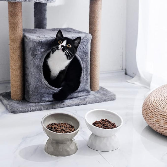 OMAYKEY Ceramic Raised Cat Bowls, Tilted Elevated Cat Food and Water Bowl Set, Porcelain Stress Free Pet Feeder Dish for Cats and Small Dogs, Dishwasher and Microwave Safe, White & Grey, Set of 2