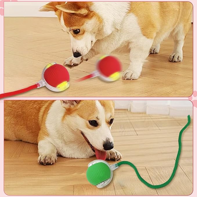 Interactive Cat Toys for Indoor Cats, New Interactive Rolling Dog Ball, 360° Smart Pet Toy Self Rolling Balls for Bored Indoor Cats (3PCS/Set)