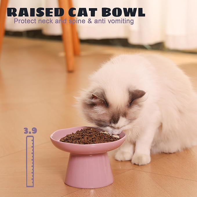 Wide Shallow 6.1" Raised Cat Bowls, Ceramic Elevated Food Plate for Flat Faced Cats and Small Dogs, Porcelain Feeder Bowl, Stress Free, Protect Cat’s Spine, Lavender