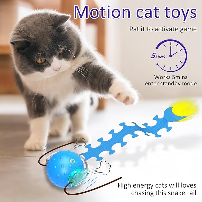 Interactive Cat Toys Ball for Indoor Cats Fast Rolling on Carpet, Chirping & Motion Activate Cat Toys (Blue Centipede)