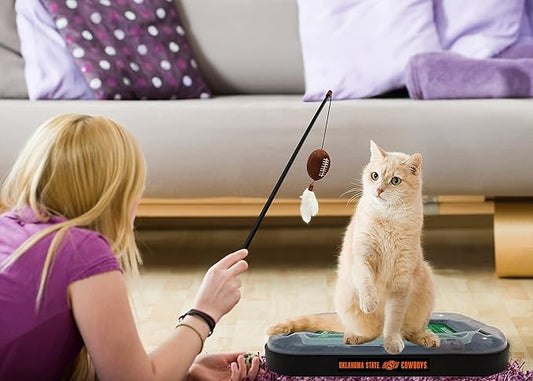 Pets First 5-in-1 Cat Toy: Scratcher, Wand, Plush Football & Feathers with Catnip & Interactive Cat Ball Bell