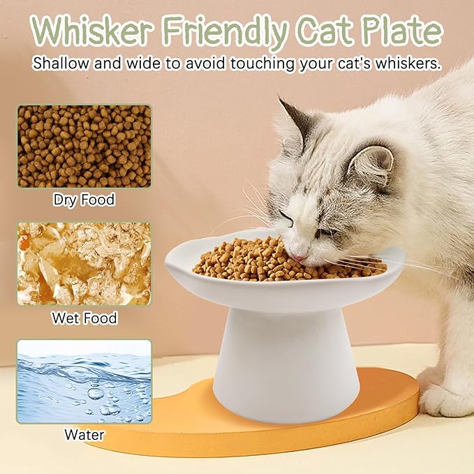 VCEPJH Raised Cat Food Bowls Shallow Cat Plate Ceramic Elevated Cats Dish 6.1in Flat Anti Whisker Fatigue Wide Pet Food & Water Feeder for Indoor Kitty Kitten (White)
