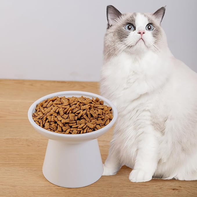 6.2 Inch Extra Wide Elevated Ceramic Cat Bowls, Food and Water Bowl Set for Elder Big Cats Small Dogs, Raised Design for Pet Easy Eating, Protect Cat's Spine Set of 2(White)