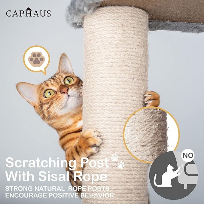 CAPHAUS Cats Kittens Tower with Large Modern Widened Perch, Cute 37-Inch Indoor Multi-Level Cat Activity Tree Scratching Posts, Small Ramp, 2-Door Cave Condo for Cats, Light Grey