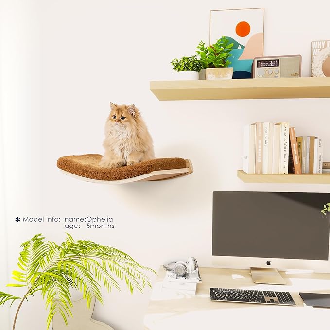 Curved Cat Wall Shelves and Perches, Floating Cat Wall Bed Furniture with Comfortable Cushion