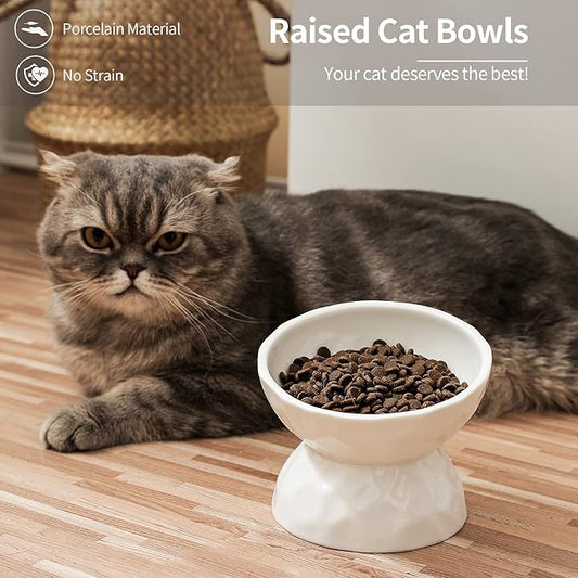 OMAYKEY Ceramic Raised Cat Bowls, Tilted Elevated Cat Food and Water Bowl Set, Porcelain Stress Free Pet Feeder Dish for Cats and Small Dogs, Dishwasher and Microwave Safe, White & Green, Set of 2