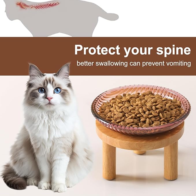 Cat Bowls Whisker Friendly with Wooden Stands. Raised Elevated Glass Whisker Fatigue Cat Bowl for Indoor Cats. 2PCS (Purple)