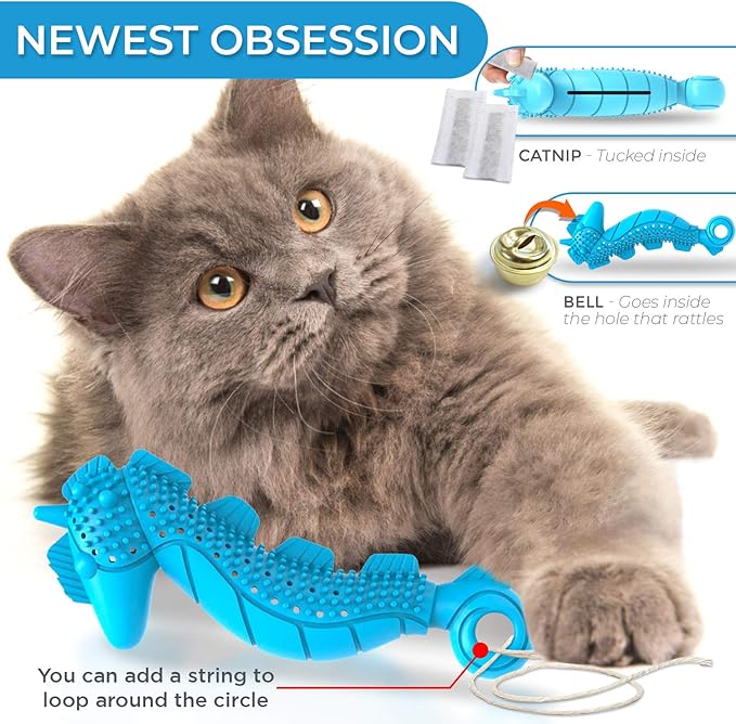 Ronton Cat Toothbrush Catnip Toy - Durable Hard Rubber - Cat Dental Care, Cat Interactive Toothbrush Chew Toy (1 Pack_Seahorse)