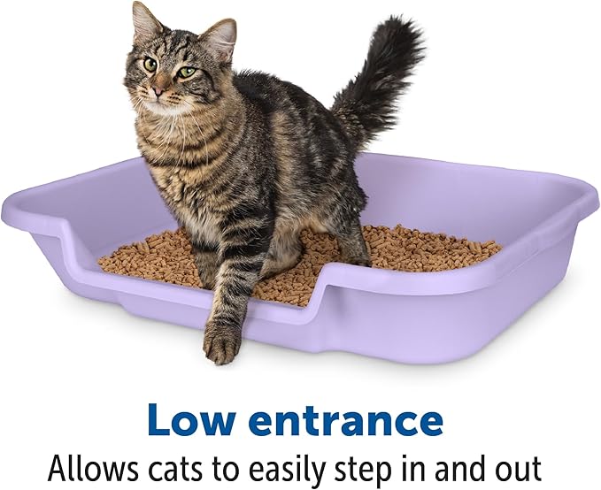 KittyGoHere Senior Cat Litter Box 1 Pack, Large Storybook Lavender Low Entrance Kitty Litter Box, Sized for Cats Comfort, Perfect for Senior and Arthritic Cats, Made in USA