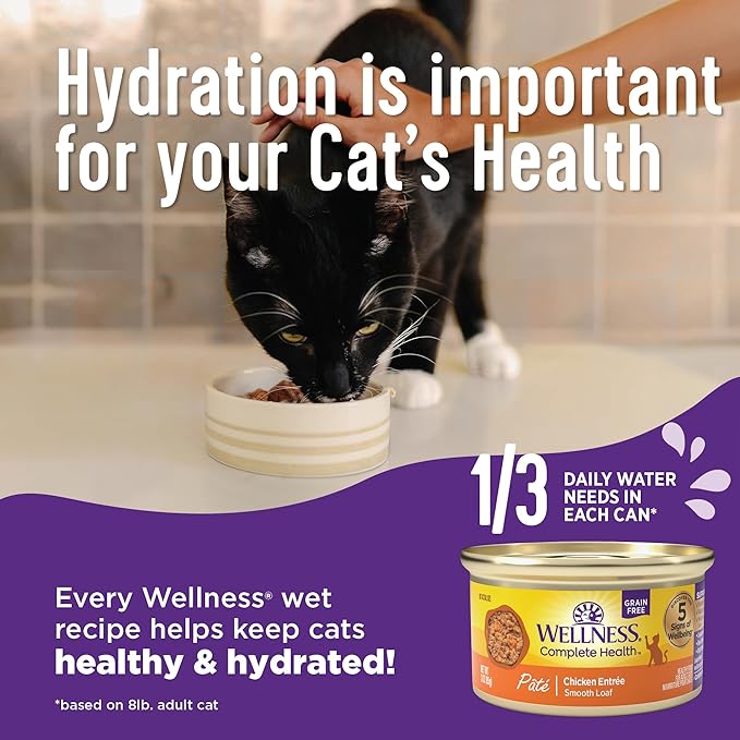 Wellness Complete Health Sliced Adult Wet Cat Food, Natural, Protein-Rich, Grain Free, 3 Ounce, 24 Pack, (Chicken Entrée)