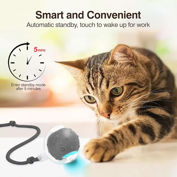 Electric Interactive Cat Toy Ball - Automatic Rolling Silicone Cat Toys for Indoor Cats, Durable Chew-Proof Motorized Kitty Ball with LED Light, Fun Exercise Toys for Bored Kittens(Grey)