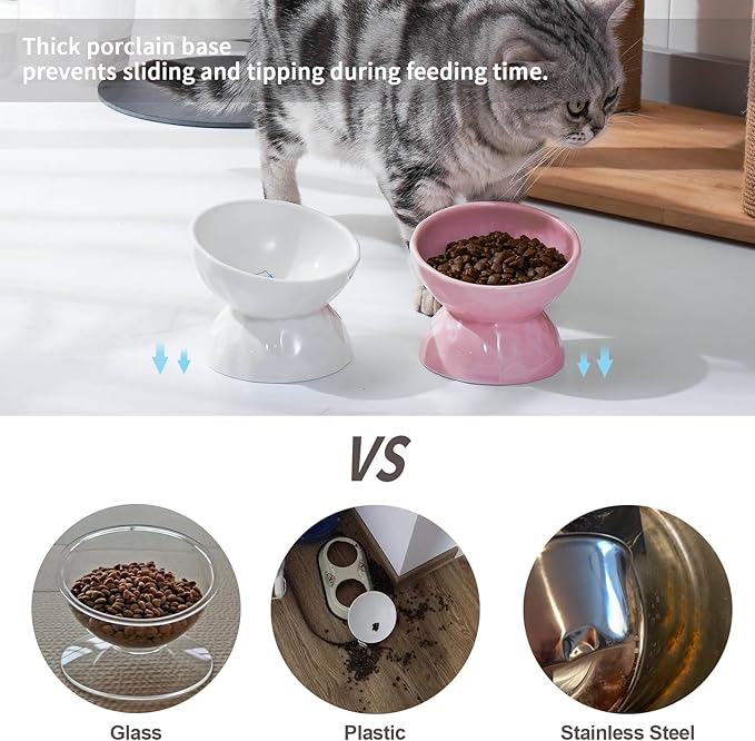 OMAYKEY Ceramic Raised Cat Bowls, Tilted Elevated Cat Food and Water Bowls, Pet Bowl Dish for Cats and Small Dogs, Pink, Set of 2