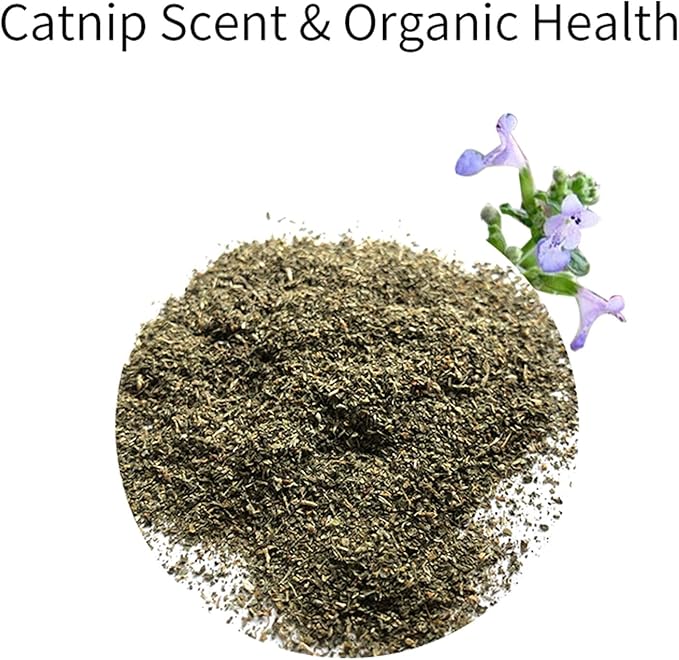 Cat Toys for Indoor Cats Satisfy Cat's Natural Hunting Instinction Catnip Soft Interactive Chirp Toys for All Breeds Indoor Cats, 3pcs (3 Pack)