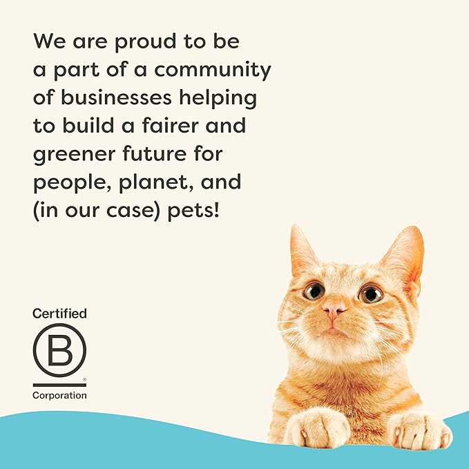 Applaws Vitality Wet Cat Food Paté, Natural Canned Cat Food, Wet Food for Cats with Added Vitamins and Minerals, Grain Free, Carrageenan Free, Tuna Fillet Recipe (24 Count, 2.47 oz Cans)