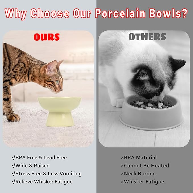 6.1" Wide 1.57" Deep Elevated Cat Bowls, Ceramic Water Bowls for Flat Faced Cats,Cat Feeder,Stress Free,Protect Cat’s Spine,Cream