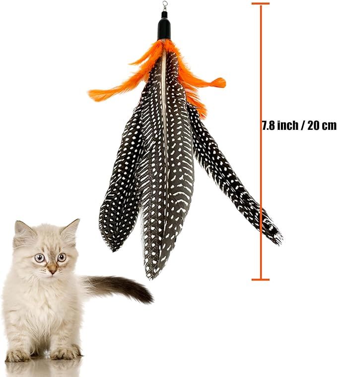Cat Feather Toys Refill, 6 Pieces Cat Wand Attachments Da Bird Feathers Toy for Indoor Cats