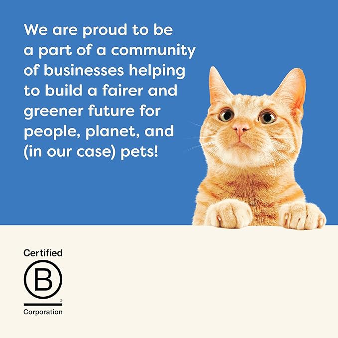 Applaws Natural Wet Cat Food in Broth, Limited Ingredient Canned Wet Cat Food, No Additives, Made with Natural Ingredients, Fish Selection in Broth Cans (20 x 5.5 oz Cans)