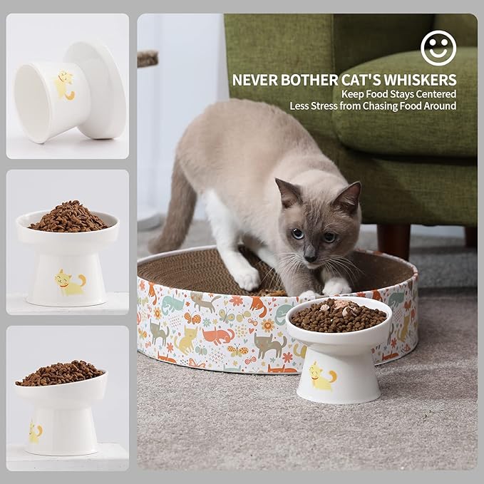 AOMRYOM Elevated Tilted Cat Bowl Set, Ceramic Feeder Bowls for Cats and Small Dog, Porcelain Raised Pet Dish, Stress Free, White, Set of 2