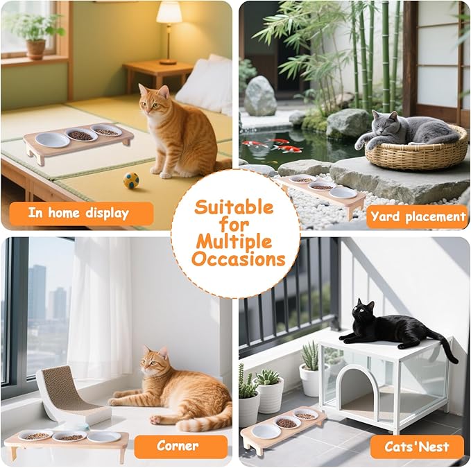 3 Elevated Cat Food and Water Bowl Set with Stand,15°Tilted Raised Pet Bowlfor Kittens/Puppy with 3 Ceremic Dishes, Indoor Cat Food Bowl,Anti-Vomit & Whisker Fatigue Relief, Dishwasher Safe