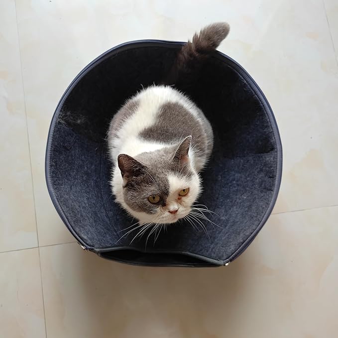 Donut Cat Tunnel Bed Peekaboo Cat Cave for Large Cats Up to 30 Lbs, Kitty Interactive Playing Tent House for Multiple Cats,Detachable,Scratch Resistant (2 in 1 Black, Medium - 20 Inch Diameter)