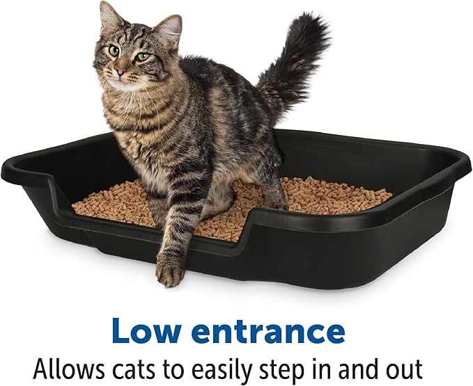 KittyGoHere Senior Cat Litter Box 2 Pack, Large Black Low Entrance Kitty Litter Box, Sized for Cats Comfort, Perfect for Senior and Arthritic Cats, Made in USA – Includes Long-Handle Jumbo Scoop