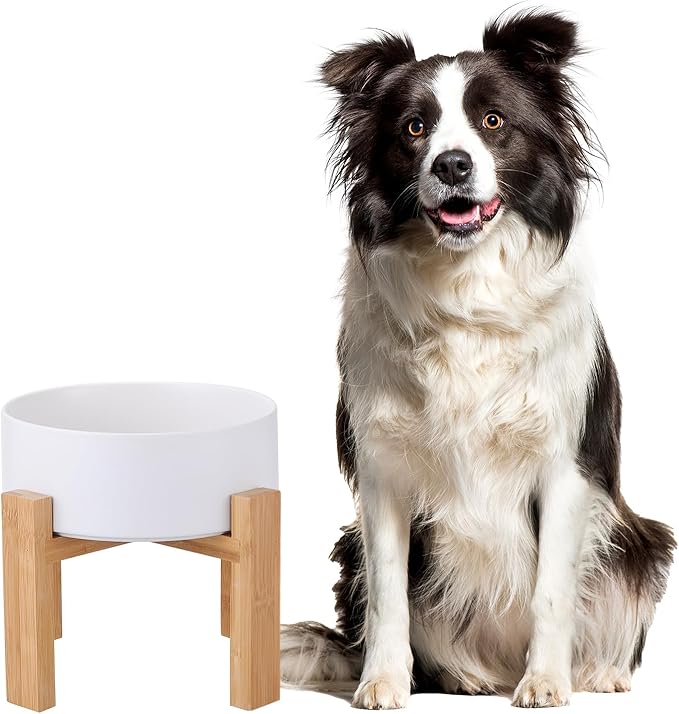 Raised Ceramic Large Dog Bowl - Heavy Weighted Dog Dish with Bamboo Stand - Elevated for Comfortable Feeding - 8.3" W x 8" H - 4.5 Cups (68 fl oz) - White
