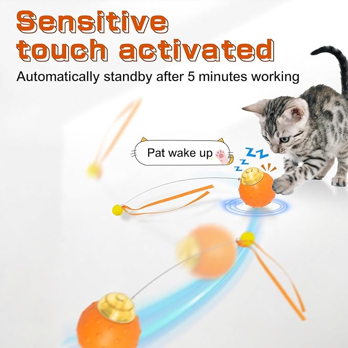 Interactive Cat Toy Ball, Touch Activated Cat Toys for Indoor Cats with Chirping Bird, Automatic Rolling Ball, Rechargeable Self Play Kitten Toys