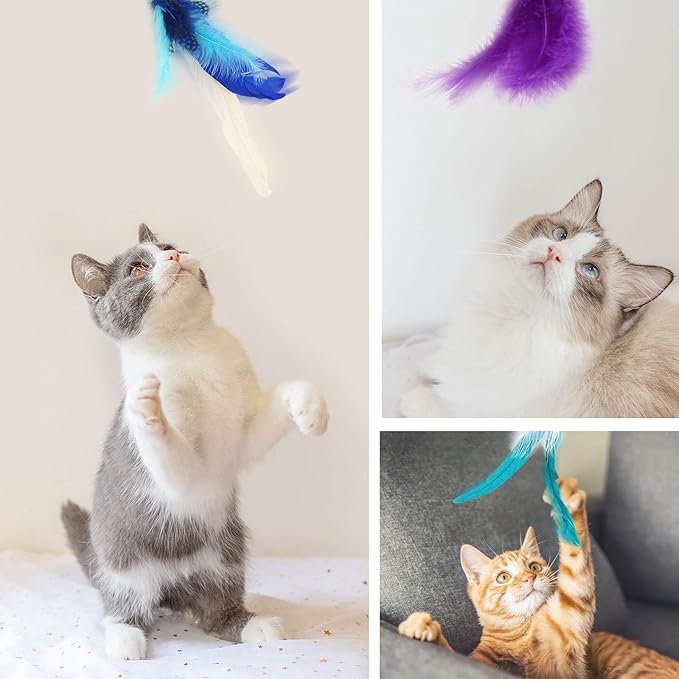 SONGWAY Interactive Cat Feather Toy Set - Retractable Teaser Wand with 6 Pcs Feather Refills with Bell, Cat Wand Toys for Indoor Cats Kittens Play Chase Exercise, Blue