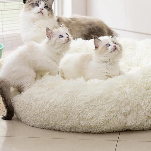 Anti Anxiety Round Fluffy Plush Faux Fur Warm Washable Dog Bed & Cat Bed, Original Bed for Small Medium Large Pets,Used to Relieve Joints and Improve Sleep(20"/24"/27'') (20", White)