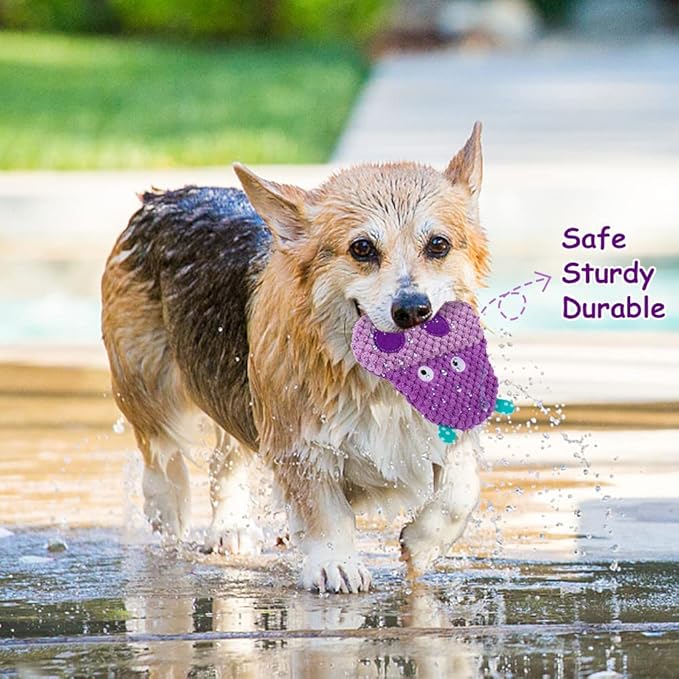 AWOOF No Stuffing Dog Toys - 8 Pack Squeaky and Crinkle Plush Toys for Small Medium Dogs, Durable for Aggressive Chewers, Cute Puppy Textured Animals