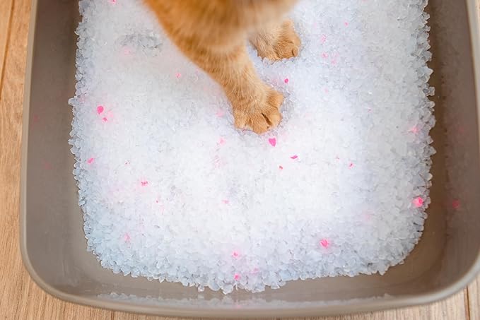 Crystals Premium Cat Litter Non-Clumping - Maximum Odor Control, 99.9% Dust Free, Soft on Paws, Unscented 32 lb (4 x 8 lb Packs)