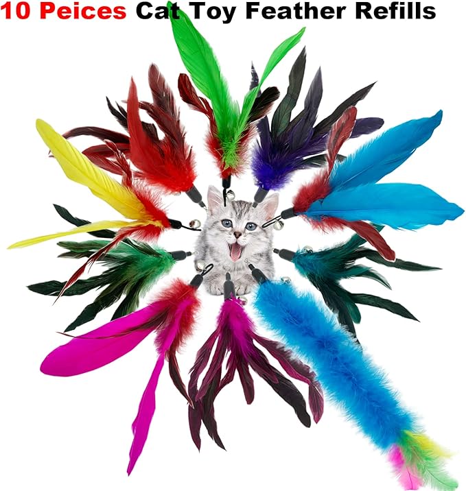 Cat Feather Toys Refills, 10 Pieces Interaction Cat Wand Replacement Feathers Toy for Indoor Cats