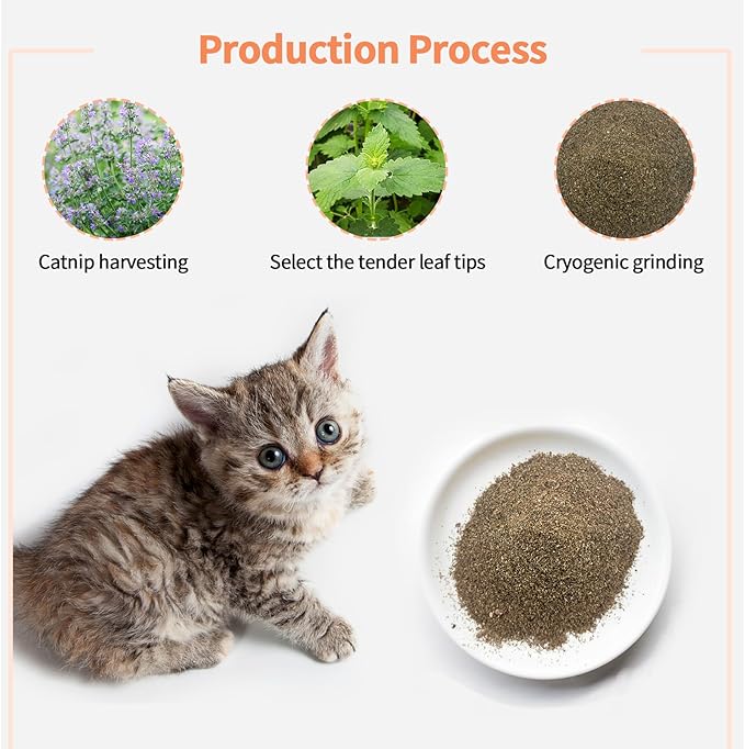 Premium Catnip for Cats & Kittens β Cold-Processed, High Potency Nepetalactone, 100% Pure Leaf-Only Catnip for Toys, Scratchers, Refills, Stimulates Play & Protects Furniture - 10g