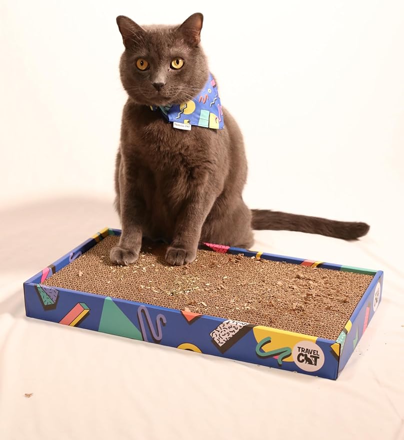 Travel Cat Portable Cat Scratcher - Durable and Recyclable Cat Scratching Board for Indoor Cat, Kitten for Rest, Play, Scratch - Premium 90s Travel Cat Scratch Pad with Box