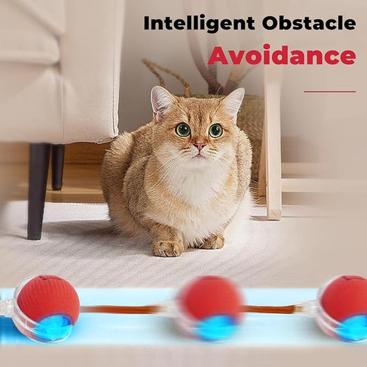 New Interactive Rolling Dog Ball, Cat Toys for Indoor Cats, Moving Cat Ball with Tail for Small, Medium Dogs, Cats (Red & Green 2pcs/Set)