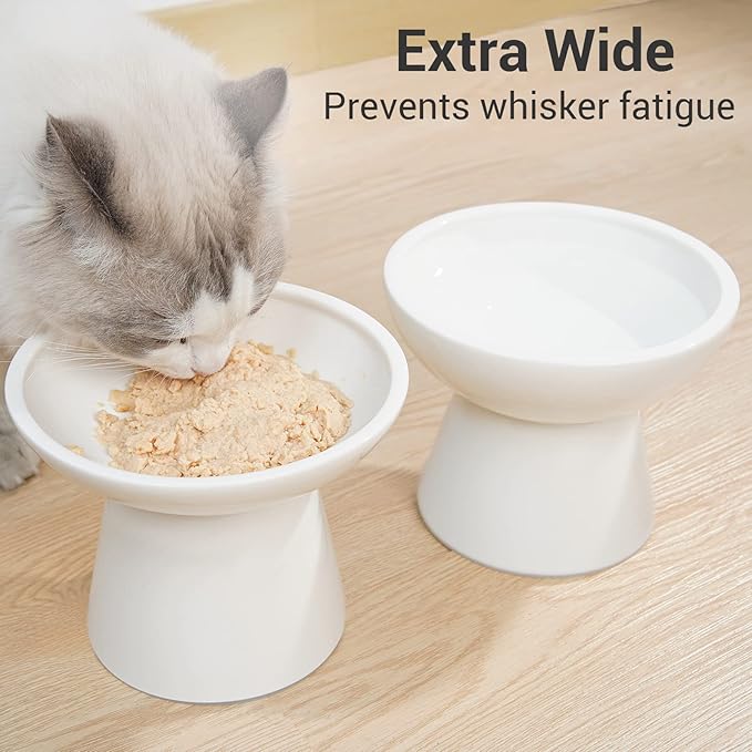 Extra Wide Elevated Ceramic Cat Water Bowl - 6.2" Deeper Dish for Whisker Fatigue Relief, 5" Height for Easy Feeding, Lead & Cadmium Free, Durable Raised Cat Bowls, White