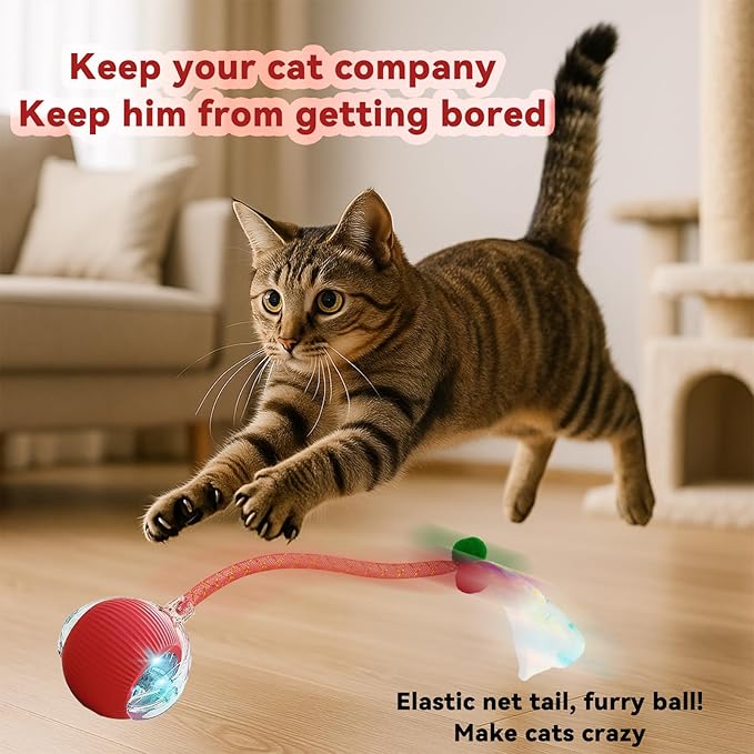 2 Pcs Interactive Cat Toys for Indoor Cats, Automatic Cat & Dog Toy with Elastic Mesh Tail, Electric Rolling Ball on Carpet, Chirping and Motion Activate Cat
