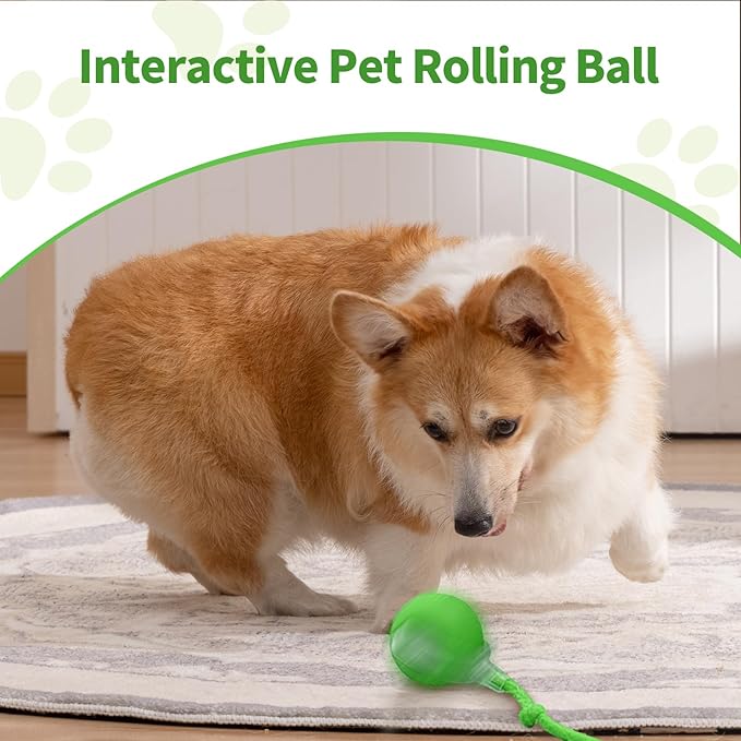 1pcs Smart Interactive Pet Toy Ball, Self Rolling Dog Ball Interactive Cat Toys, 360° Smart Automatic Rolling Ball Toy for Dogs Cats Indoor Outdoor Play (Grey)