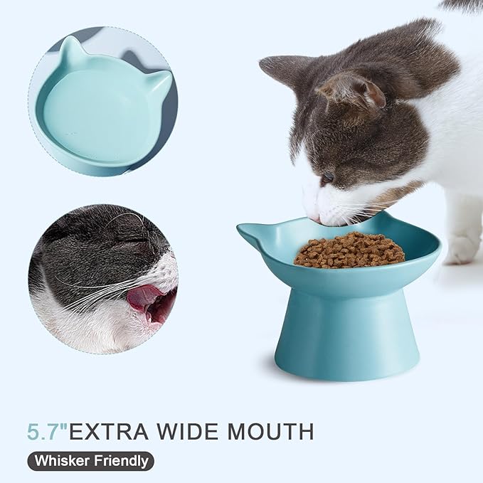 Ceramic Elevated Cat Bowl, Raised Cat Food Water Bowl for Indoor Cats with Stand, Titled Anti-Vomiting Cat Dish,Whisker Friendly, All Life Stage
