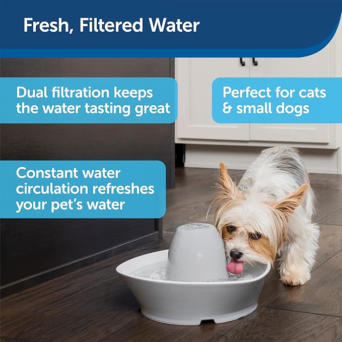 PetSafe Ceramic Pet Fountain – for Cats and Small Dogs – 60 Oz Water Capacity – Whisper-Quiet Water Flow – Great for Shy or Timid Pets – Fresh, Filtered Water