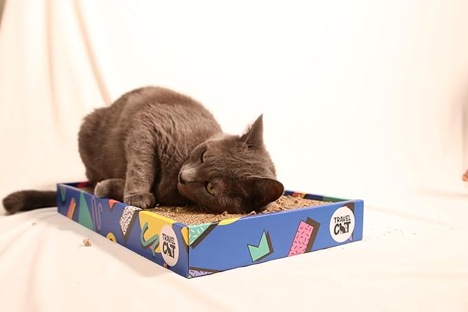 Travel Cat Portable Cat Scratcher - Durable and Recyclable Cat Scratching Board for Indoor Cat, Kitten for Rest, Play, Scratch - Premium 90s Travel Cat Scratch Pad with Box
