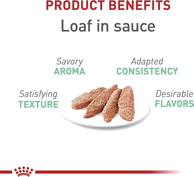 Royal Canin Feline Care Nutrition Digest Sensitive Loaf in Sauce Canned Cat Food, 3 oz., Case of 24